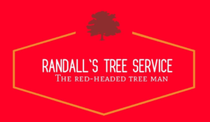 Randalls Tree